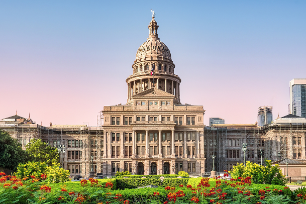 Texas DIR DBITS program visual